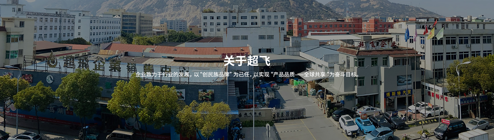 衛(wèi)生級止回閥，快裝閥門廠家